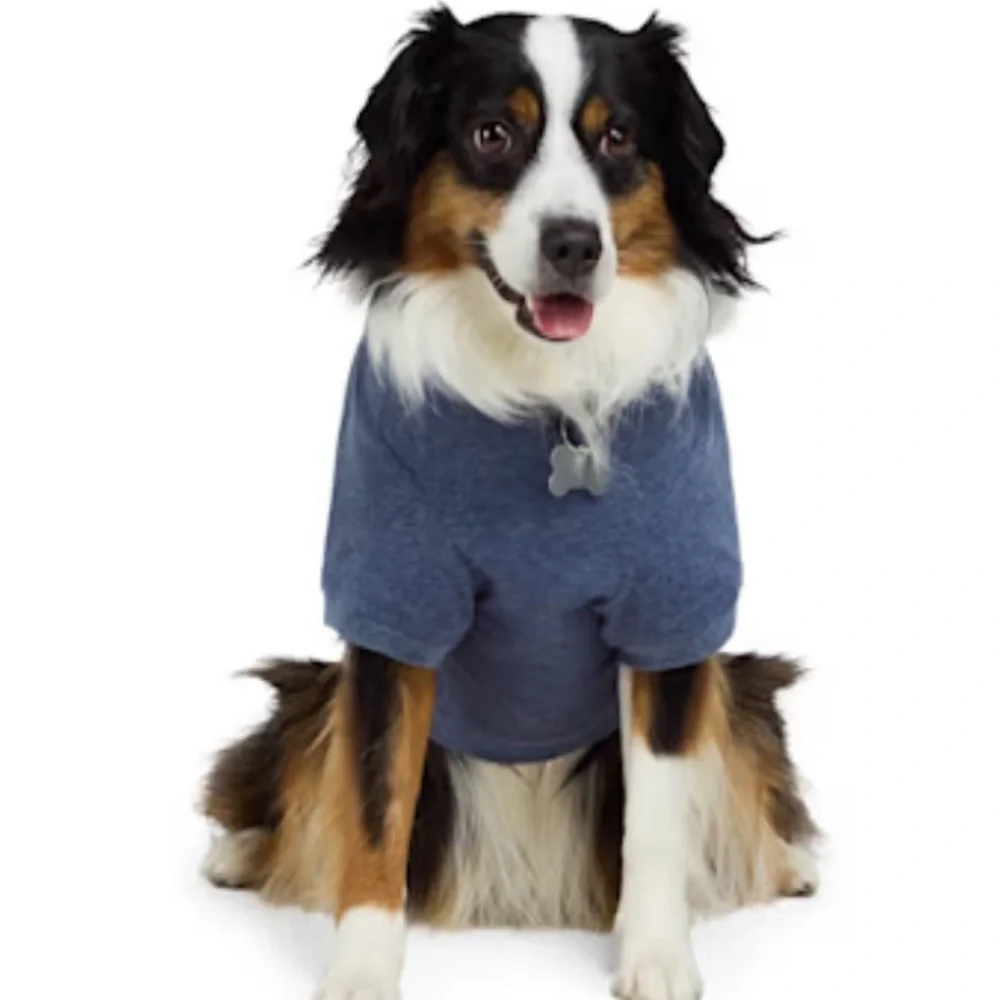 NWT CHILL dog tee t-shirt Petco XL